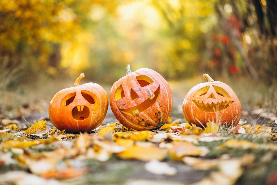 Halloween - jak przystroić dom na najstraszniejsze święto roku